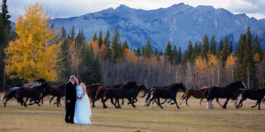 outdoor wedding venues Calgary - Rafter's Six Ranch
